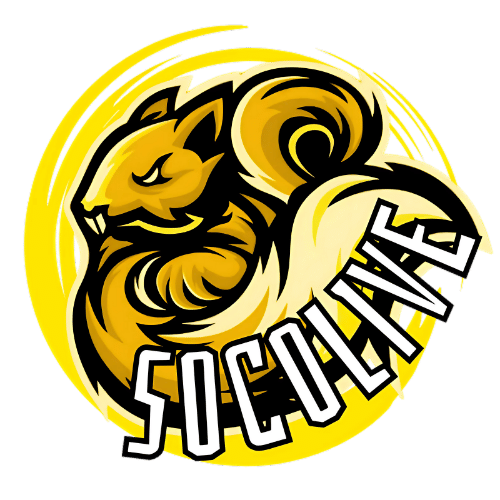 LIVESCORE 44 socolive favicon