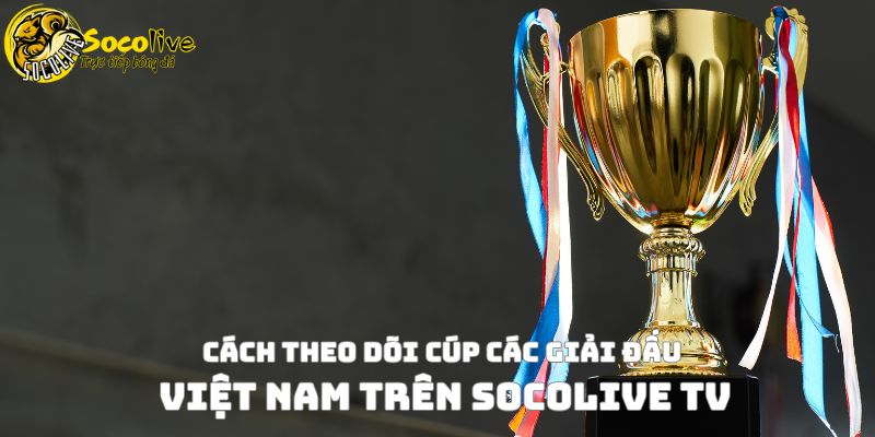 Cúp các giải đấu bóng đá tại Việt Nam – Hành trình Cúp Quốc gia 4 Cách theo dõi cúp các giải đấu Việt Nam trên Socolive TV